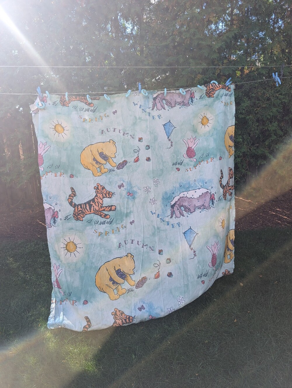 Vintage Classic Winnie The Pooh Four Seasons Fabric Shower Curtain